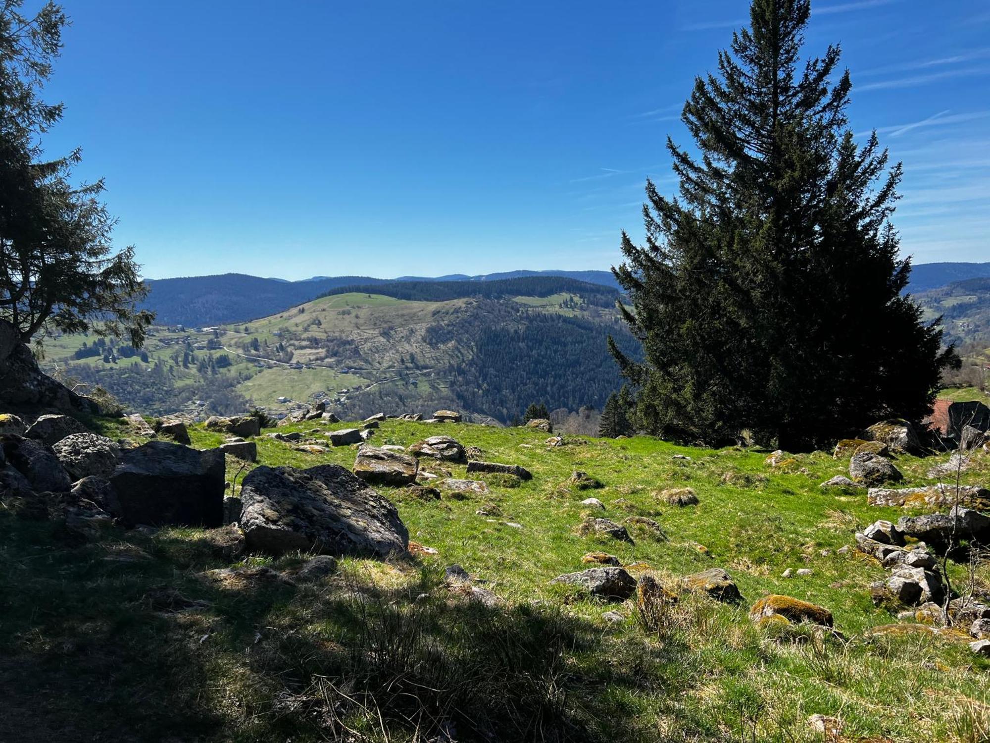 Le Petit Beillard Appartement Gérardmer Buitenkant foto