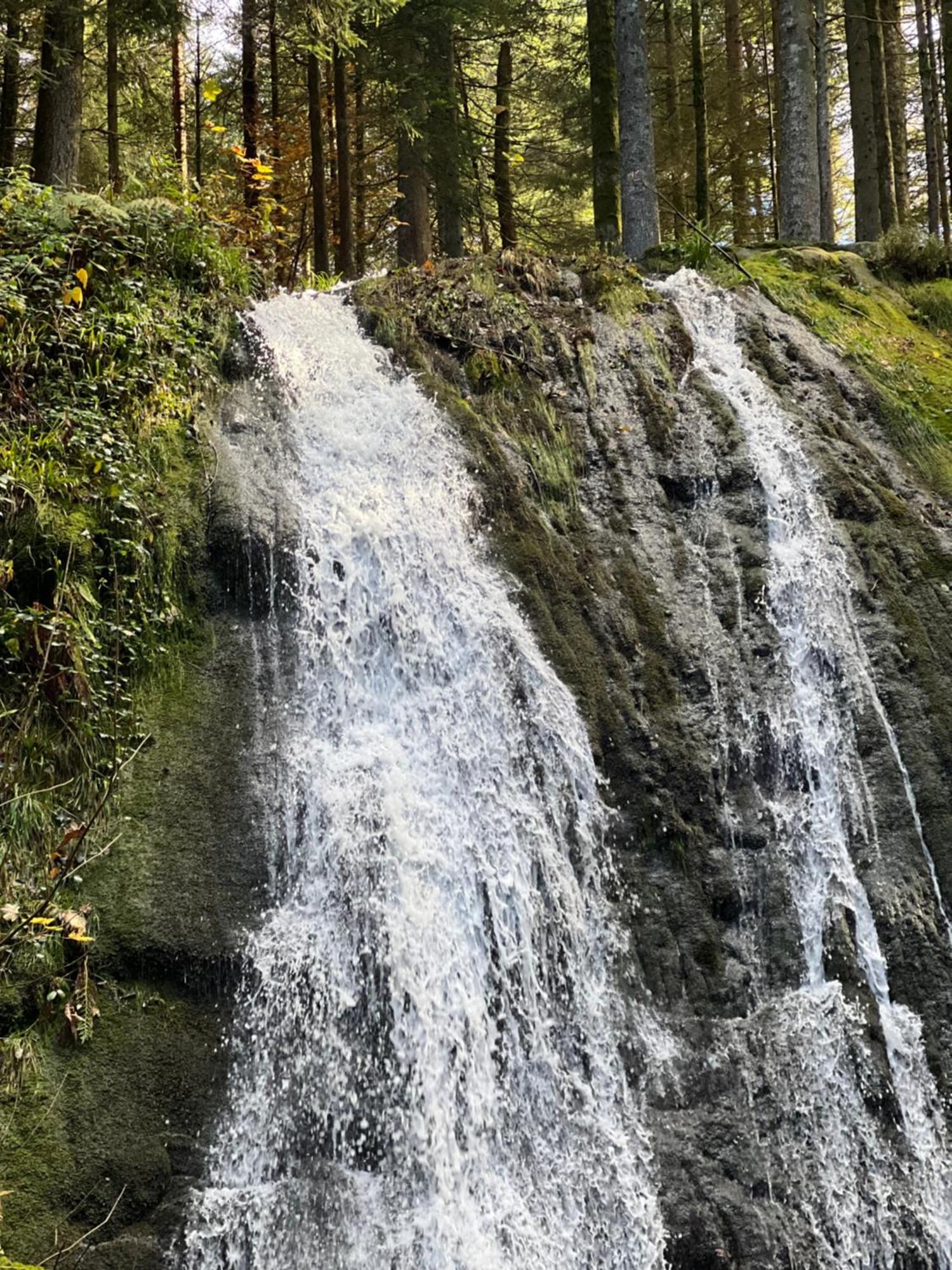 Le Petit Beillard Appartement Gérardmer Buitenkant foto